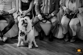   During a civil ceremony at Hotel Engelsburg in Recklinghausen, Germany, the couple’s dog sits attentively in the front row beside wedding guests, sharing in the special occasion.